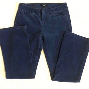 Talbots Velvet Jeans